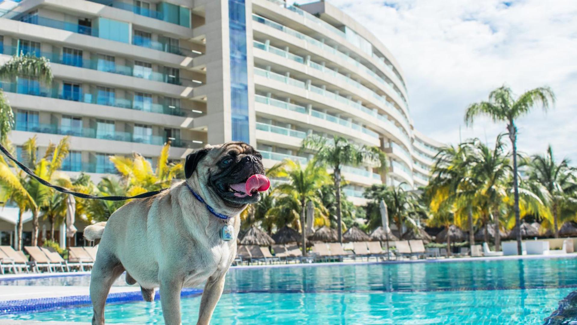 Palacio Mundo Imperial Riviera Diamante Acapulco Exterior foto Millyard at the Hard Rock Hotel in Cancun